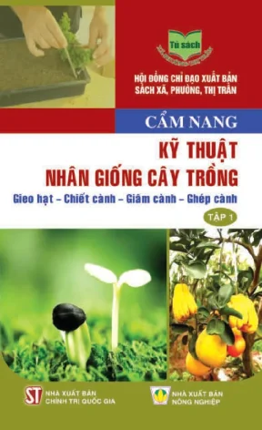 Kỹ Thuật Nhân Giống Cây Trồng: Gieo Hạt, Chiết Cành,