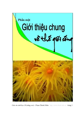 Khám Phá Thế Giới Sống: Cấu Trúc và Tổ Chức
