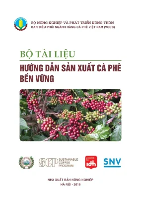 Hướng Dẫn Sản Xuất Cà Phê Bền Vững Tại Việt Nam