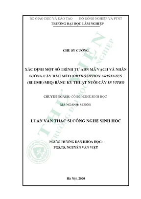 Nghiên cứu ADN mã vạch và nhân giống cây Râu mèo