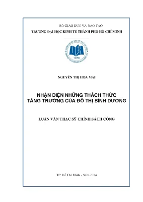 Thách Thức Tăng Trưởng Đô Thị Bình Dương: Nhận Diện và