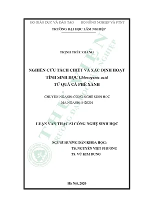 Nghiên cứu tách chiết chlorogenic acid từ cà phê xanh và