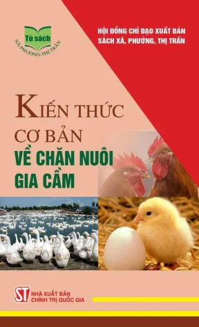 Hướng Dẫn Cơ Bản Về Chăn Nuôi Gia Cầm