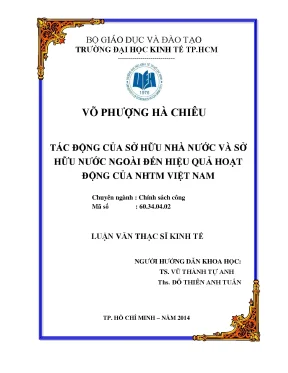 Tác động của sở hữu nhà nước và nước ngoài đến hiệu quả
