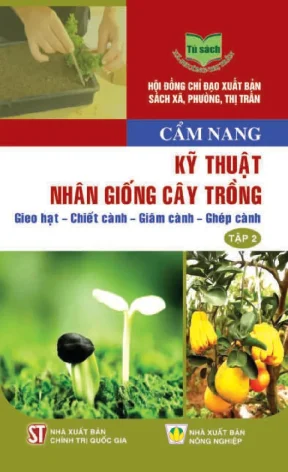 Kỹ Thuật Nhân Giống Cây Trồng: Gieo Hạt, Chiết Cành,