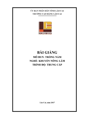 Hướng Dẫn Trồng Nấm Nghề Khuyến Nông Trình Độ Trung Cấp