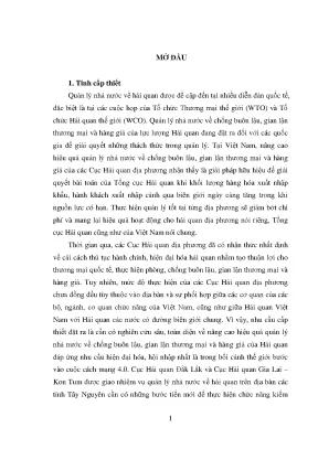 Quản lý chống buôn lậu và hàng giả tại Tây Nguyên: Thực