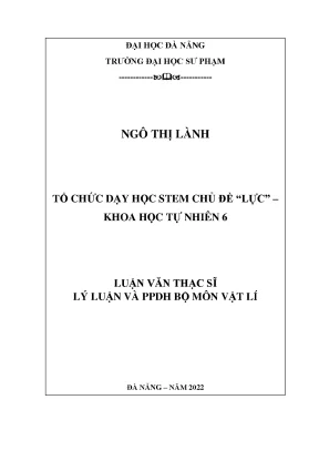 Dạy Học STEM Chủ Đề Lực Trong Khoa Học Tự Nhiên Lớp 6