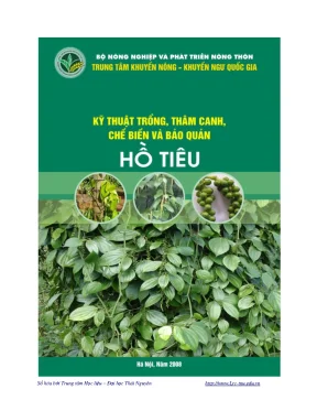 Kỹ Thuật Trồng Hồ Tiêu: Chế Biến và Bảo Quản Hiệu Quả