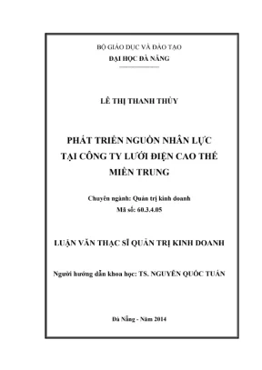Luận văn phát triển nguồn nhân lực tại Lưới điện Miền Trung