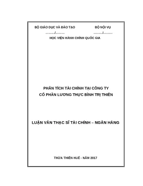 Phân Tích Tài Chính Tại Công Ty Cổ Phần Lương Thực Bình