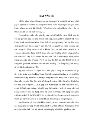 Nghiên cứu nhiễm trùng bệnh viện do nấm ở trẻ em