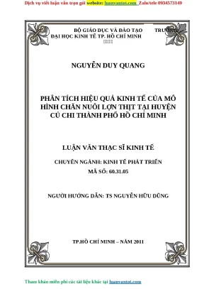 Phân Tích Hiệu Quả Kinh Tế Mô Hình Chăn Nuôi Lợn Thịt