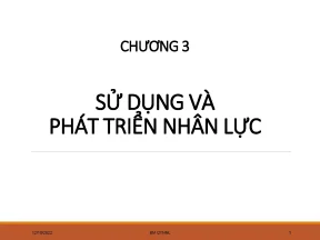 Chiến lược sử dụng và phát triển nhân lực hiệu quả
