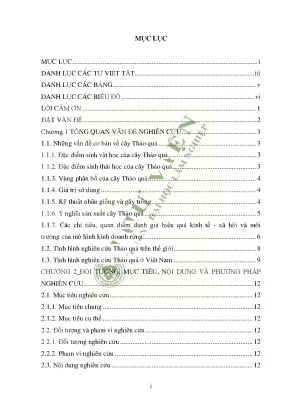 Đánh giá mô hình trồng thảo quả và giải pháp phát triển