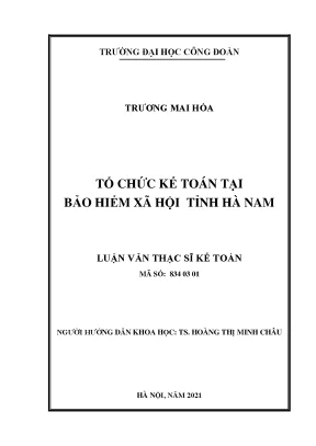 Tổ Chức Kế Toán Tại Bảo Hiểm Xã Hội Tỉnh Hà Nam: Nghiên