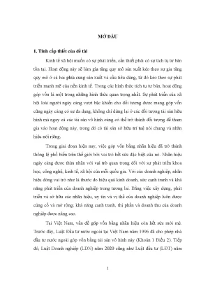 Góp Vốn Bằng Nhãn Hiệu: Tầm Quan Trọng và Thực Trạng Tại