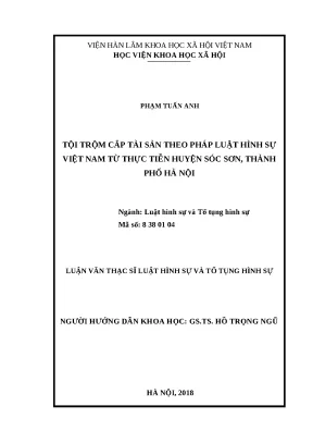 Nghiên cứu tội trộm cắp tài sản theo pháp luật hình sự