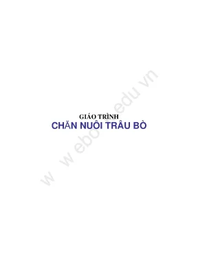 Hướng Dẫn Chăn Nuôi Trâu Bò Hiệu Quả