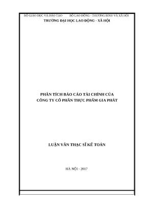 Phân Tích Báo Cáo Tài Chính Công Ty Cổ Phần Thực Phẩm