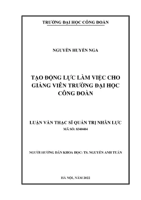 Tăng Cường Động Lực Làm Việc Cho Giảng Viên Đại Học Công