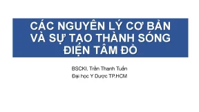 Nguyên lý cơ bản của điện tâm đồ và hoạt động của tim