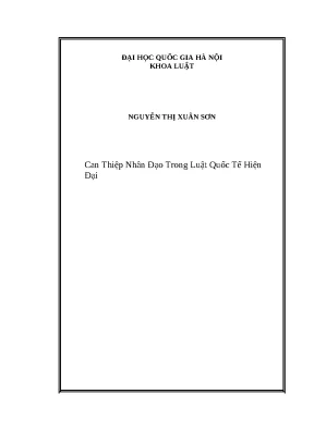 Can Thiệp Nhân Đạo Trong Luật Quốc Tế: Thực Trạng và
