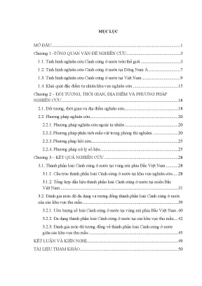 Nghiên cứu đa dạng côn trùng cánh cứng ở miền núi phía