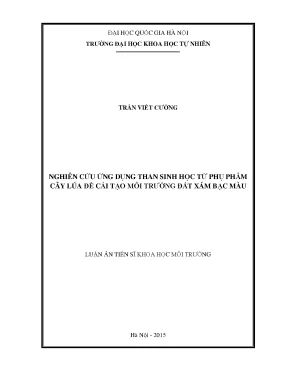 Nghiên cứu ứng dụng than sinh học từ phụ phẩm cây lúa để