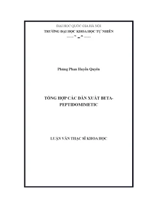 Tổng Hợp Dẫn Xuất Beta Peptidomimetic Trong Nghiên Cứu
