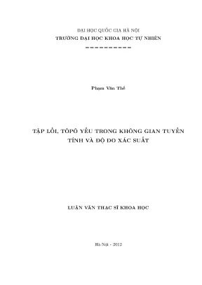 Tập Lồi và Tôpô Yếu Trong Không Gian Tuyến Tính
