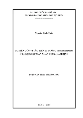 Nghiên cứu thraustochytrids ở rừng ngập mặn Xuân Thủy,