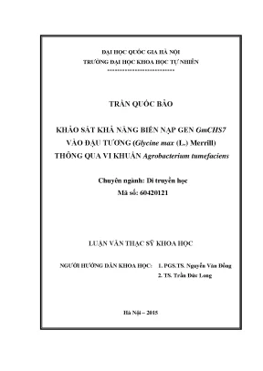 Khảo sát khả năng biến nạp gen GmCHS7 vào đậu tương