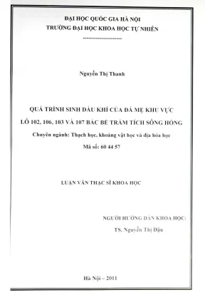 Quá trình sinh dầu khí từ đá mẹ khu vực lô 102, 106, 103 