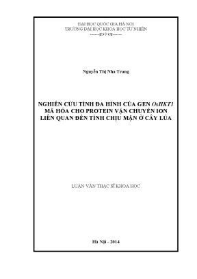 Nghiên cứu gen OsHKT1 và khả năng chịu mặn ở cây lúa