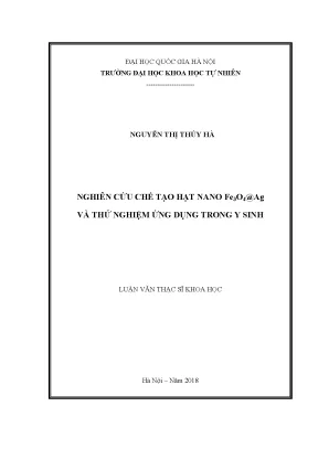 Nghiên cứu chế tạo hạt nano Fe3O4@Ag và ứng dụng trong y