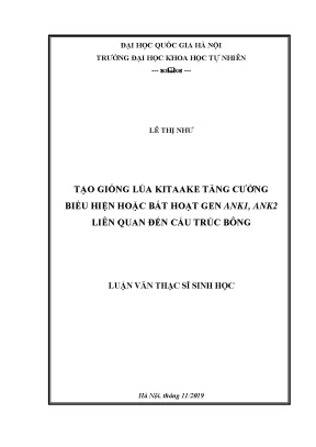 Nghiên cứu tạo giống lúa Kitaake với gen ank1, ank2 để