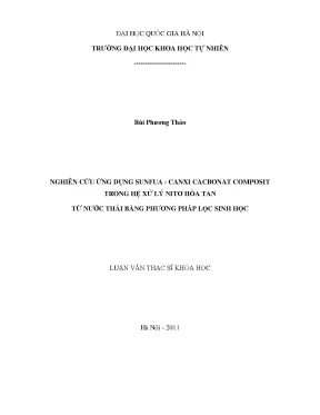 Nghiên cứu ứng dụng sunfua canxi cacbonat trong xử lý