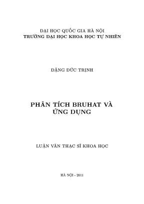 Phân Tích Bruhat và Ứng Dụng Trong Toán Học