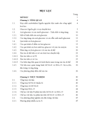 Nghiên cứu xúc tác platin và vàng trên vật liệu MCM-41