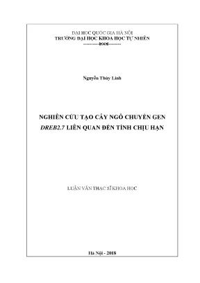 Nghiên cứu cây ngô chuyển gen DREB2 để nâng cao khả năng