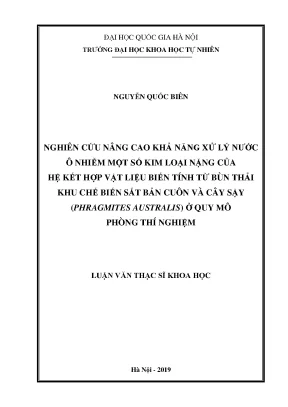 Nâng cao khả năng xử lý nước ô nhiễm kim loại nặng từ 