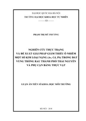 Giải pháp giảm thiểu ô nhiễm kim loại nặng trong đất
