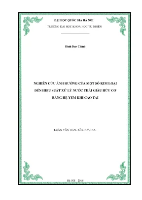 Nghiên cứu ảnh hưởng của kim loại đến hiệu suất xử lý