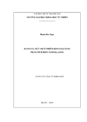 Đánh Giá Ô Nhiễm Kim Loại Nặng Trong Trầm Tích Biển Vịnh