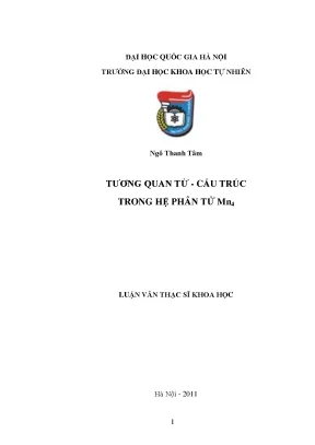 Tương Quan Từ Cấu Trúc Trong Hệ Phân Tử Mn4: Nghiên Cứu 