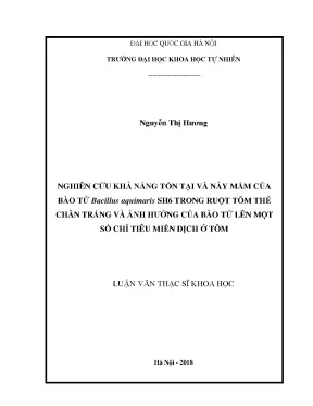 Nghiên cứu sự tồn tại và ảnh hưởng của bào tử Bacillus