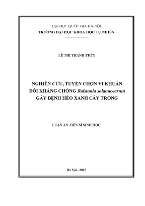 Nghiên cứu vi khuẩn đối kháng Ralstonia solanacearum gây