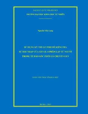 Nghiên cứu sự hội nhập của gen IL-6 trong tế bào gốc