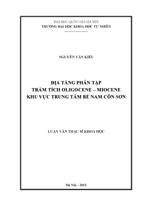 Nghiên cứu địa tầng phân tập trầm tích Oligocene - 